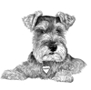 Maddie Drawing